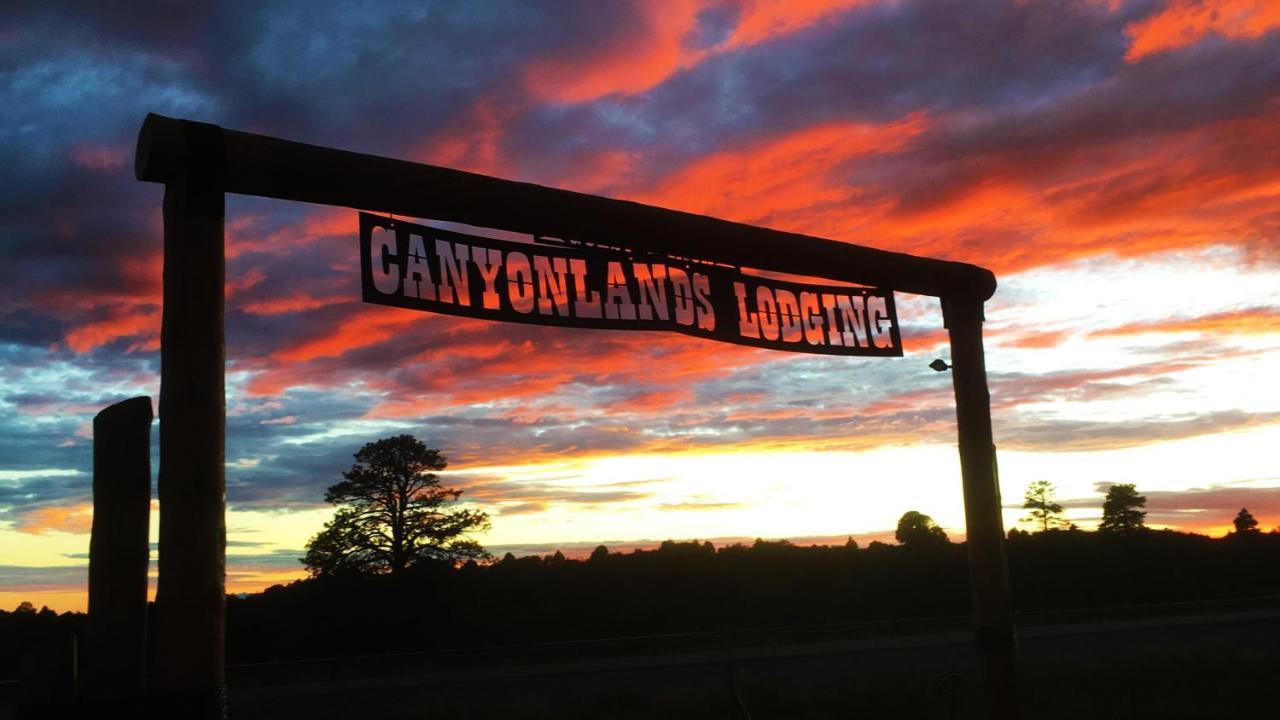 White Pine Cabin By Canyonlands Lodging Monticello Exterior photo