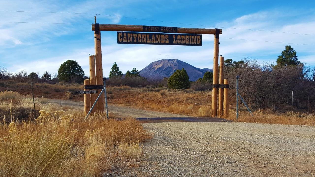 White Pine Cabin By Canyonlands Lodging Monticello Exterior photo